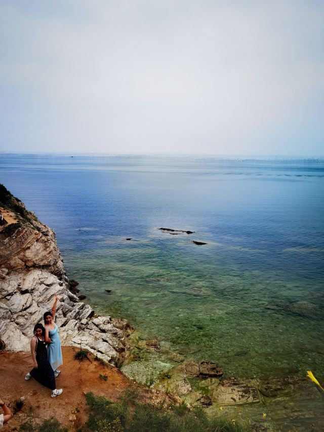 养马岛林间花海旅行图片 3