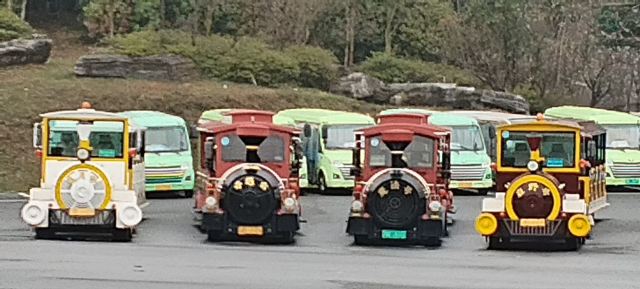 茅山森林世界旅行图片 4