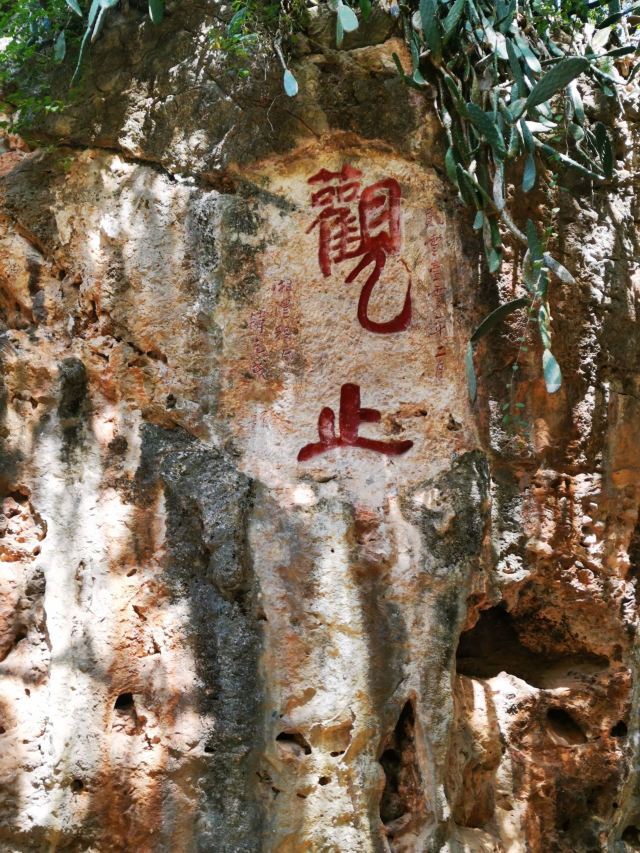 界鱼石公园旅行图片 2