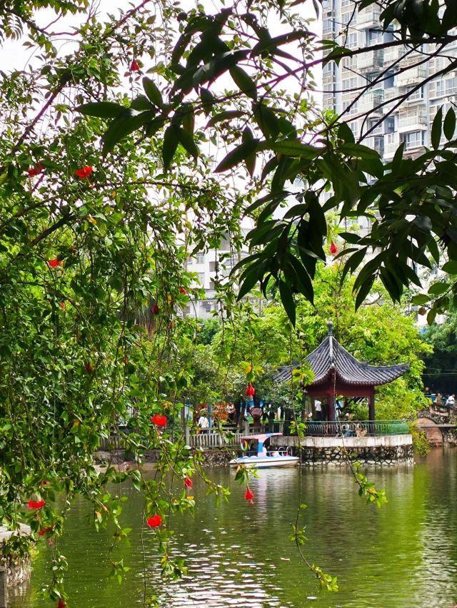 玉林市人民公园旅行图片 7