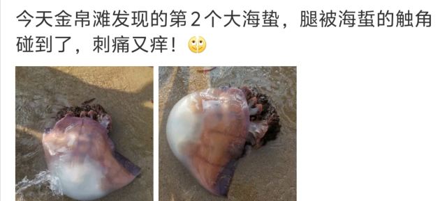 金帛滩海洋乐园(暂停开放)旅行图片 1