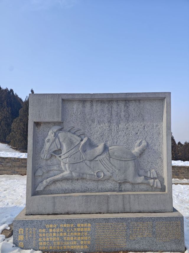 唐昭陵旅行图片 9