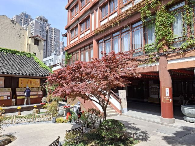 玉佛禅寺旅行图片 5