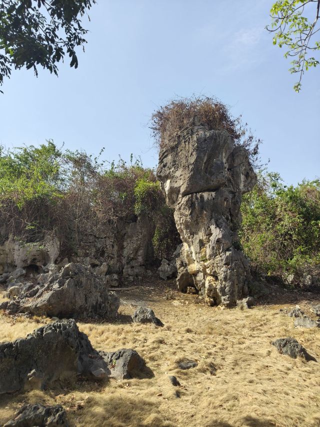 石景林景区旅行图片 3