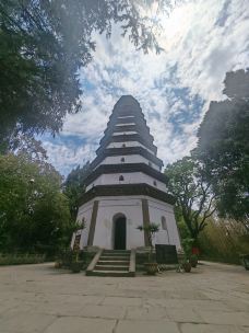 白塔-阆中-WGY殿下