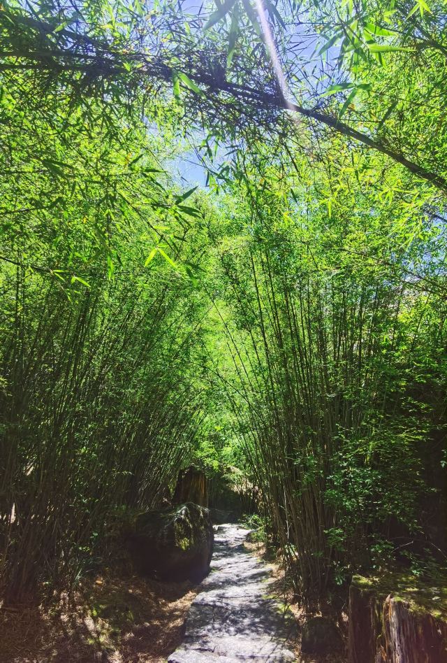 卡定沟景区旅行图片 3
