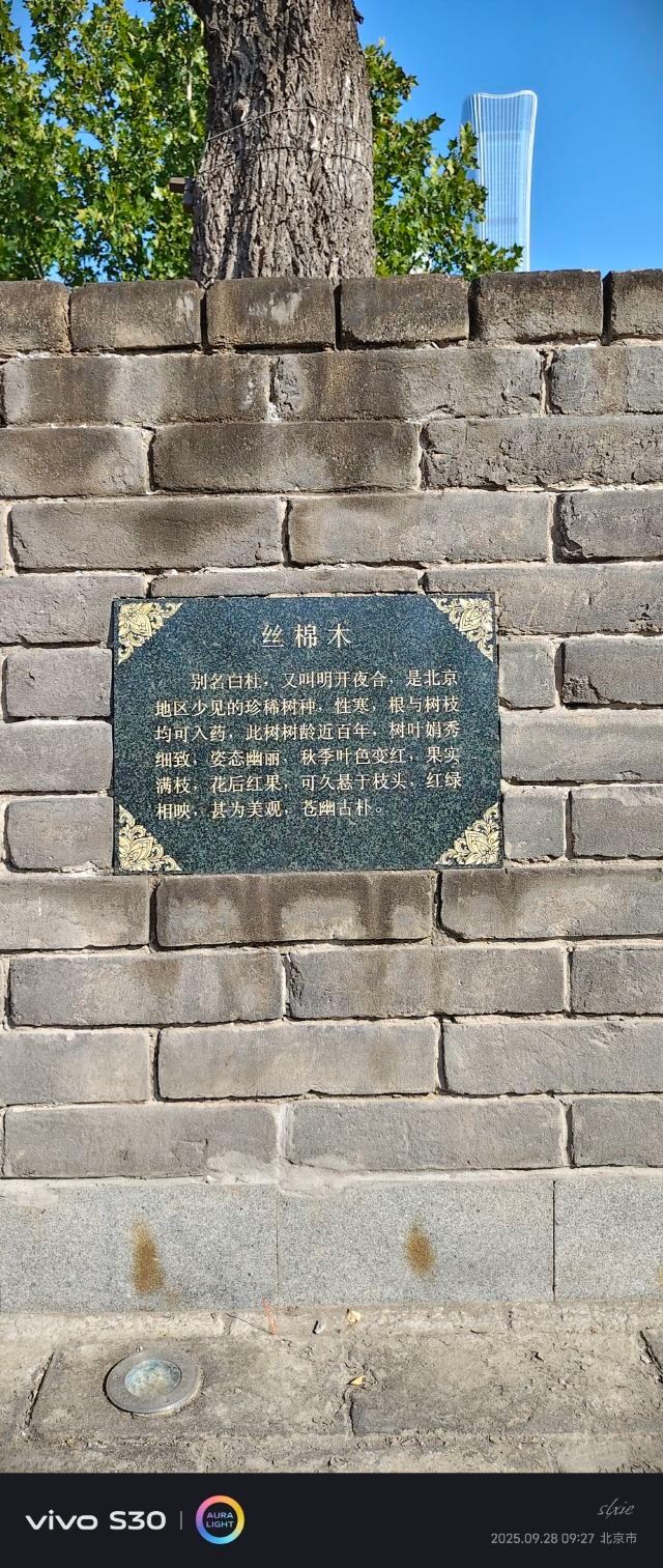 庆丰公园旅行图片 6