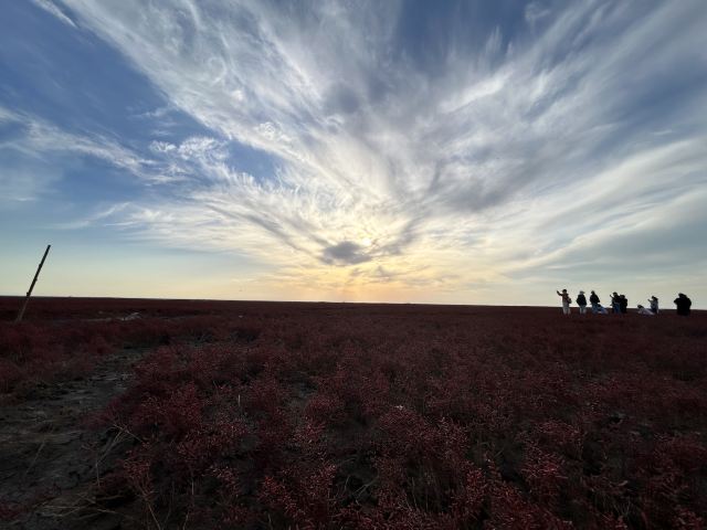 营口鸟浪广场旅行图片 4