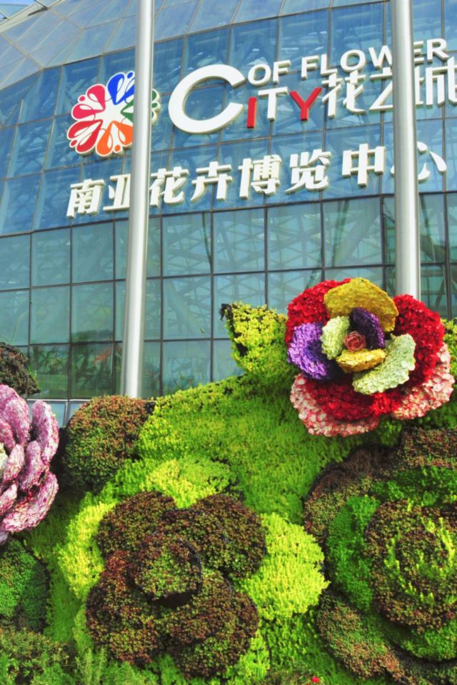 花之城旅行图片 2
