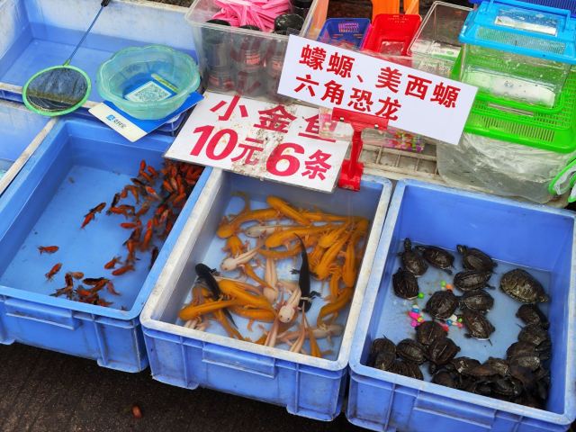 玉林市人民公园旅行图片 5