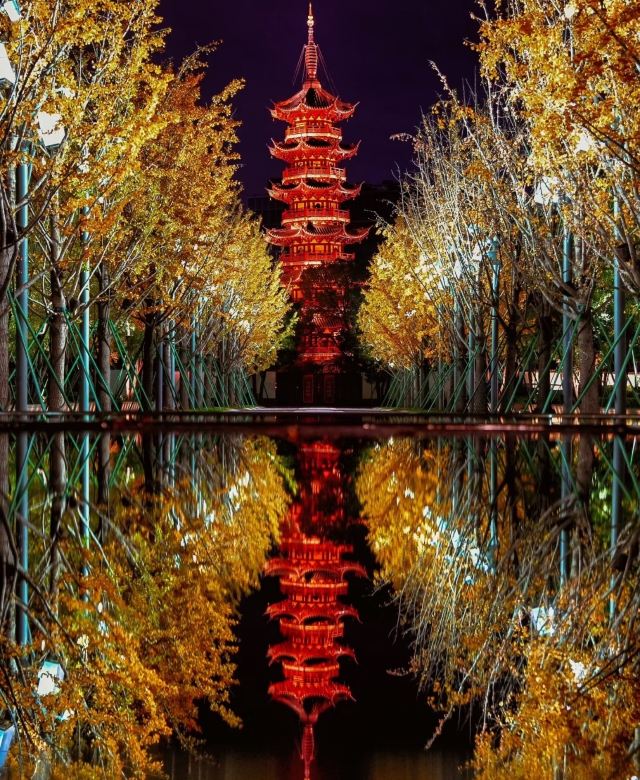 龙华寺旅行图片 1