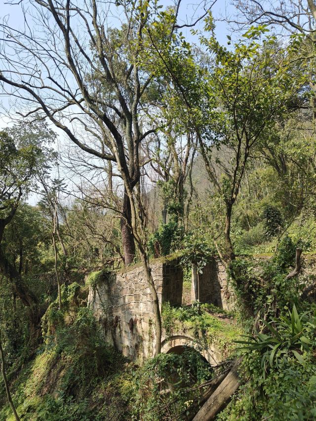 重庆张飞古道游玩攻略简介,重庆张飞古道门票/地址/图片/开放时间/照片/门票价格【携程攻略】