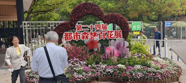 上海共青森林公园旅行图片 4