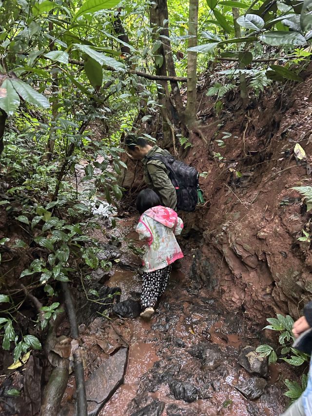 西双版纳纳卡雨林徒步旅行图片 5