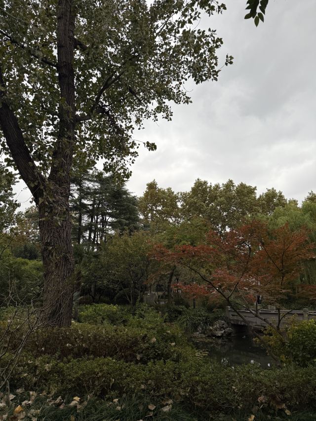 闸北公园旅行图片 6
