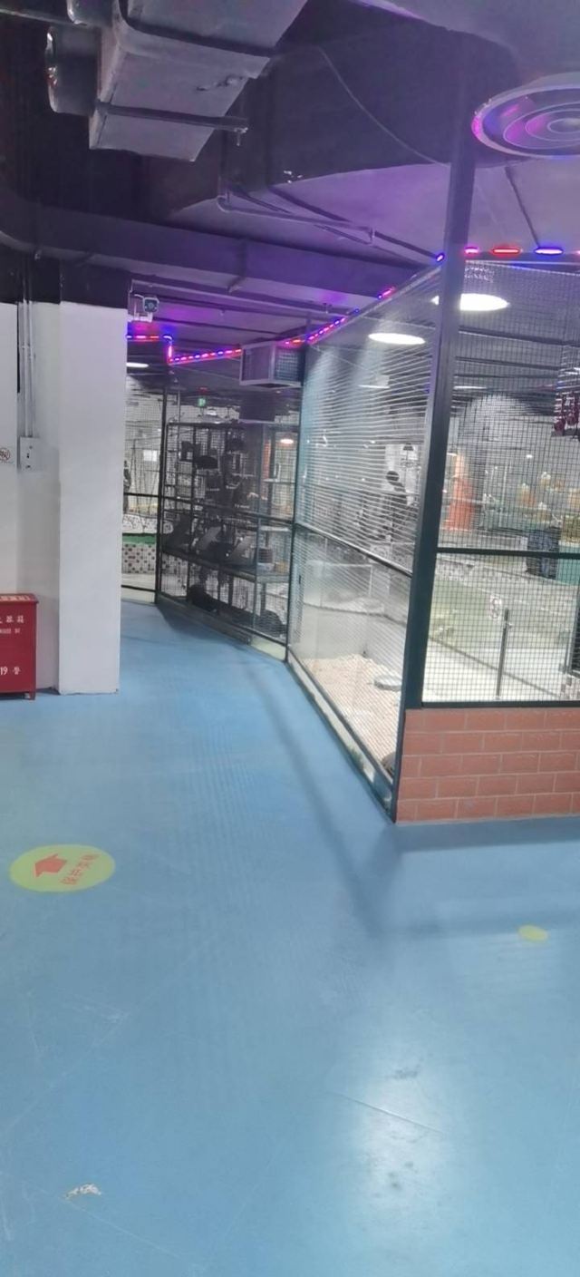 东方明珠公园旅行图片 2