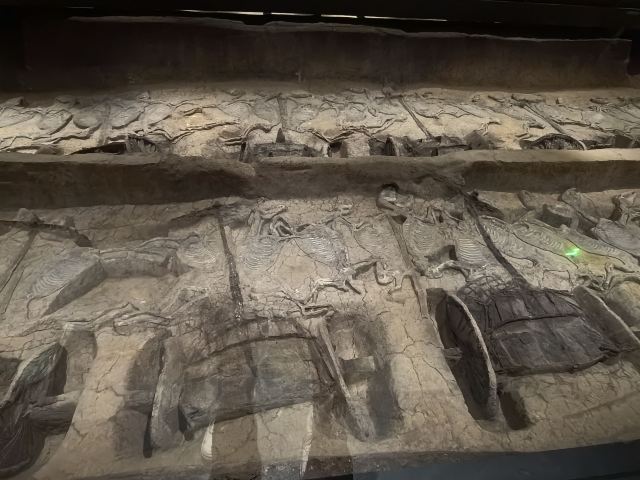 楚王车马阵景区旅行图片 4
