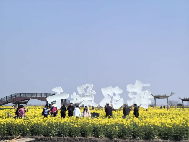 千垛景区旅行图片 7