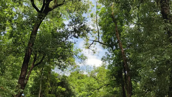 國立二中舊址