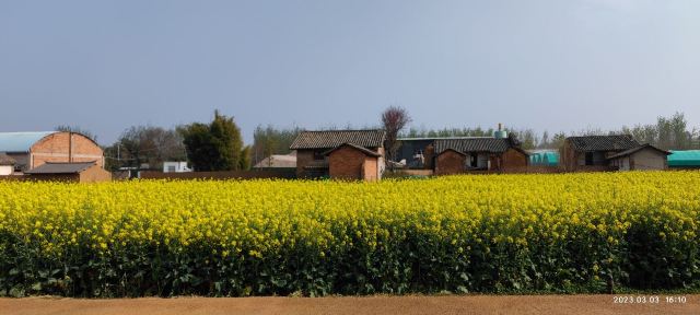 昆明卧龙古渔村旅行图片 7