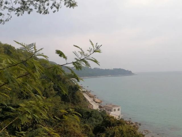 背仔角沙滩旅行图片 2