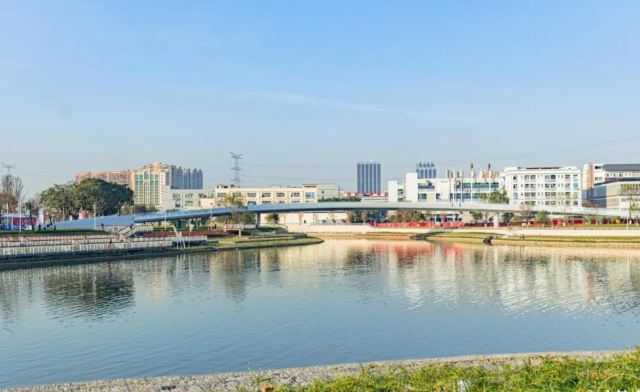 深圳沙井公园旅行图片 2