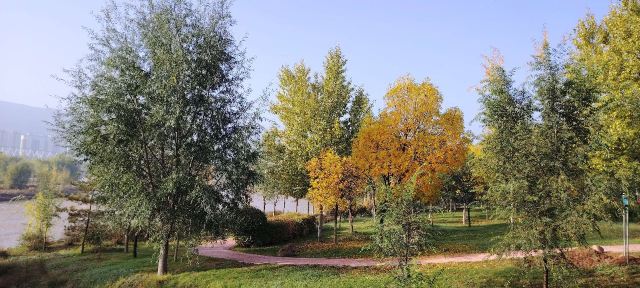 平安心湿地公园旅行图片 3