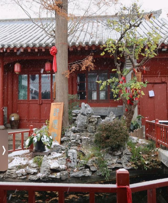 所城里大街57号旅行图片 5