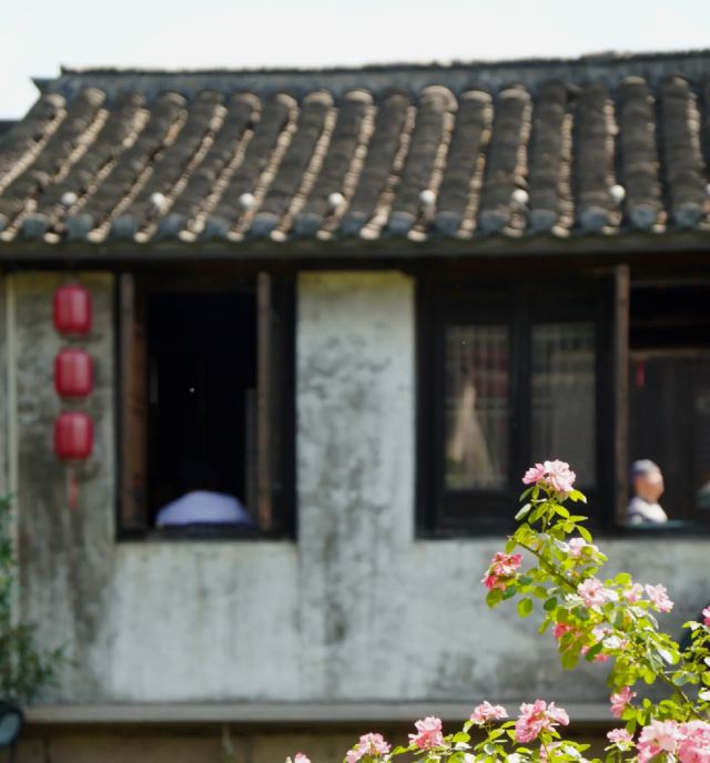 荡口古镇旅行图片 3