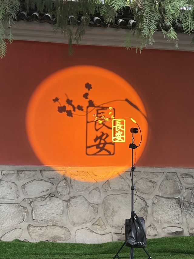 江南大雁塔北广场不夜城大唐芙蓉园观景房实图拍摄旅行图片 1