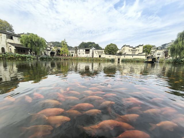 婺源弦高城景区旅行图片 2
