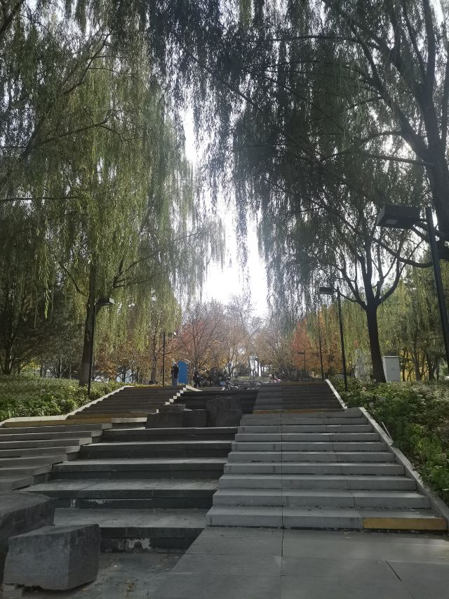 庆丰公园旅行图片 8