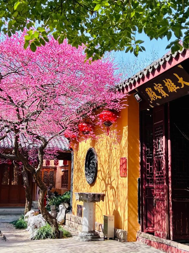 湖州铁佛寺旅行图片 1