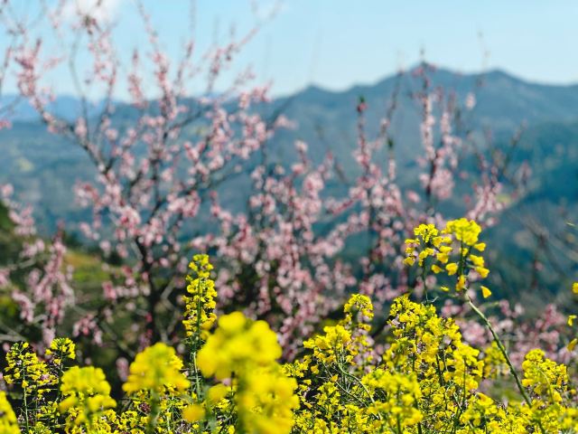 石潭村旅行图片 4