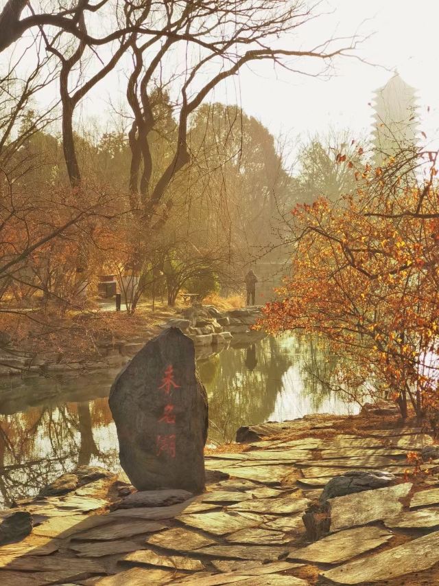 未名湖旅行图片 1