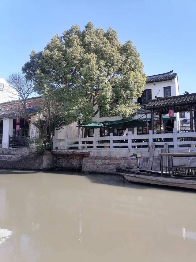 新场古镇旅行图片 1