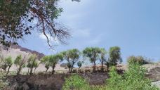 多坝沟胡杨峡景区-阿克塞-应无所住~