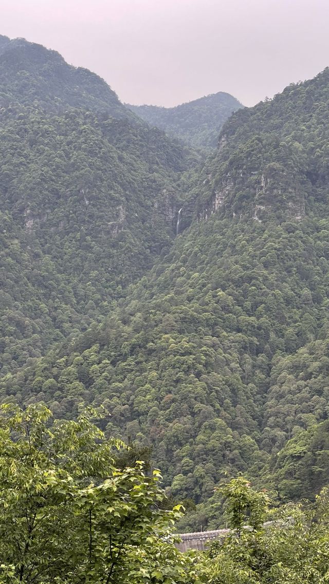 五指峰旅行图片 2