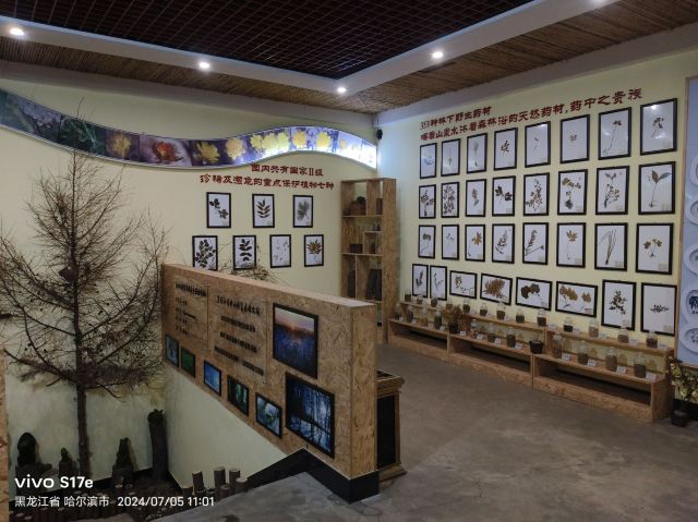 香炉山国家森林公园-自动售卖机旅行图片 6