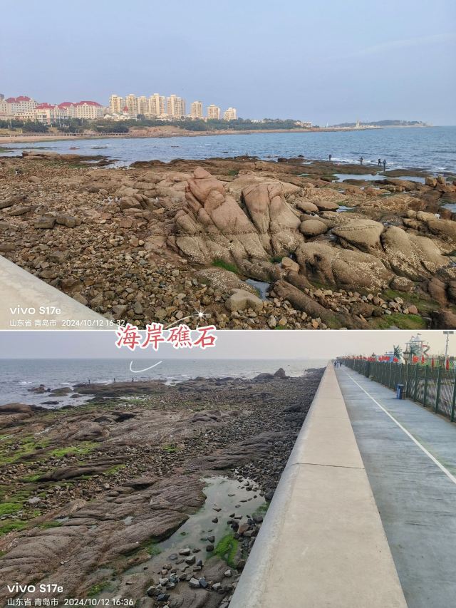 海边嘟比熊游乐园旅行图片 15