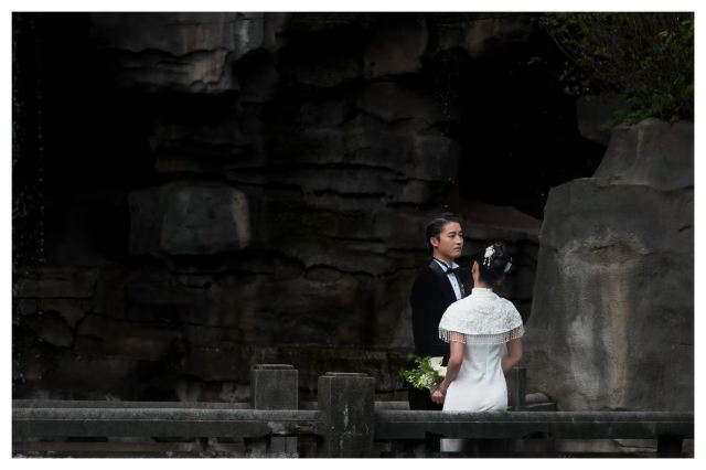 鹅岭公园旅行图片 5