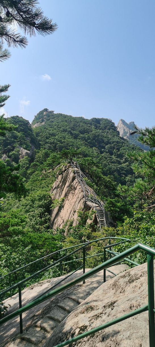 凤凰山公园旅行图片 1