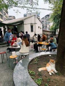 永叔小食店-江门-彼岸之澄