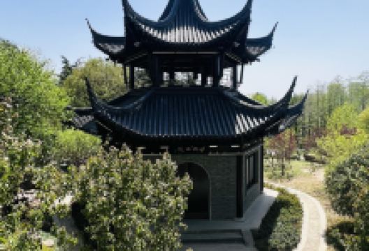 来凤楼景点图片