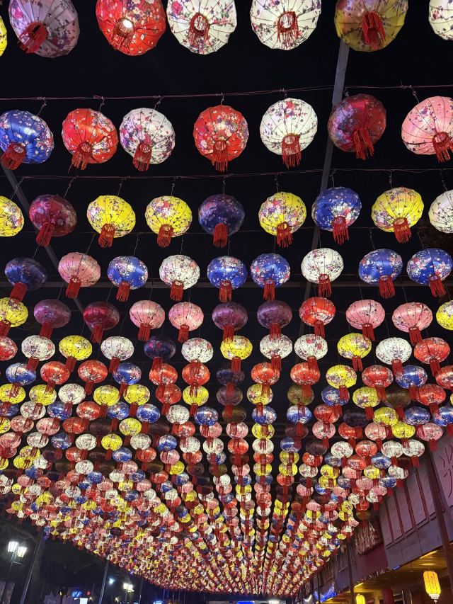 隐贤山庄旅行图片 1