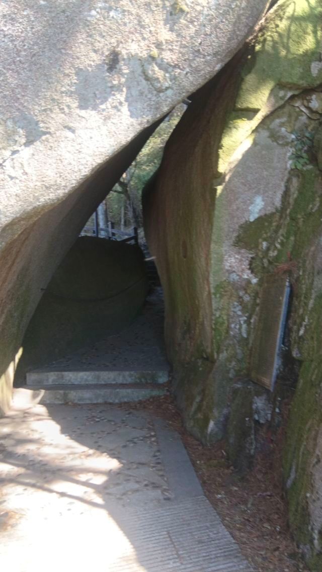 天岳幕阜山森林公园旅行图片 2