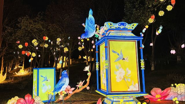 金平湖灯秀旅行图片 6