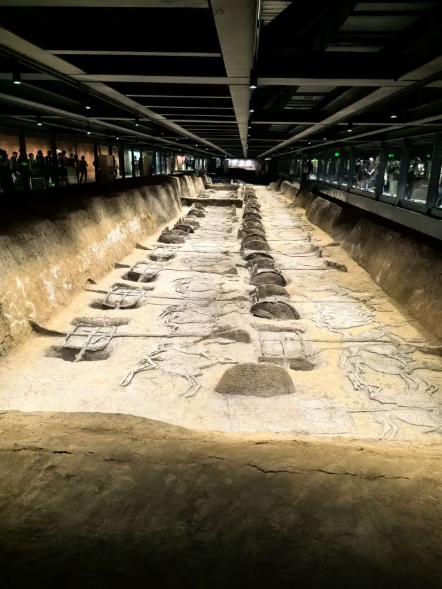 楚王车马阵景区旅行图片 1