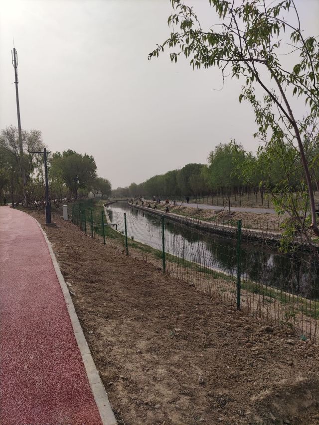 南苑森林湿地公园旅行图片 3
