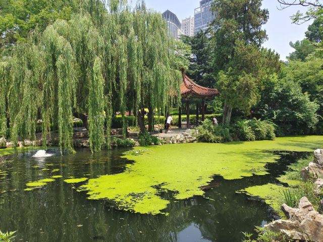 劳动公园旅行图片 8